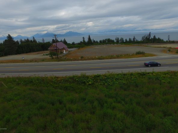 3658 Forest Glen Dr, Homer, AK 99603